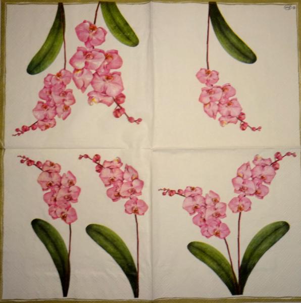 096 Orchideen - 3 lagig - Ambiente